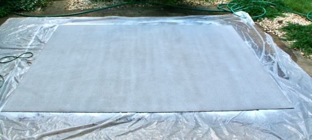 painting-a-rug-white-4